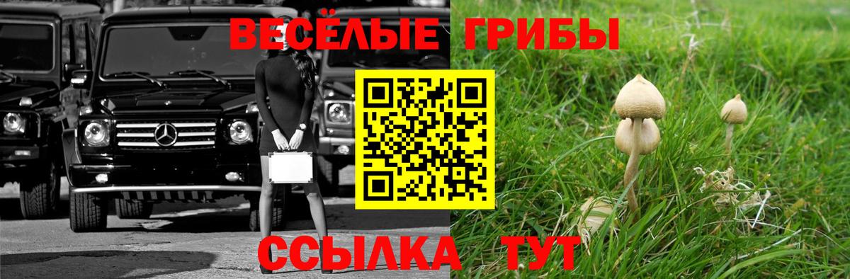 купить наркотик  Псилоцибиновые грибы MAGIC MUSHROOMS  Псилоцибиновые грибы мицелий  Вход с VPN  Среднеуральск 